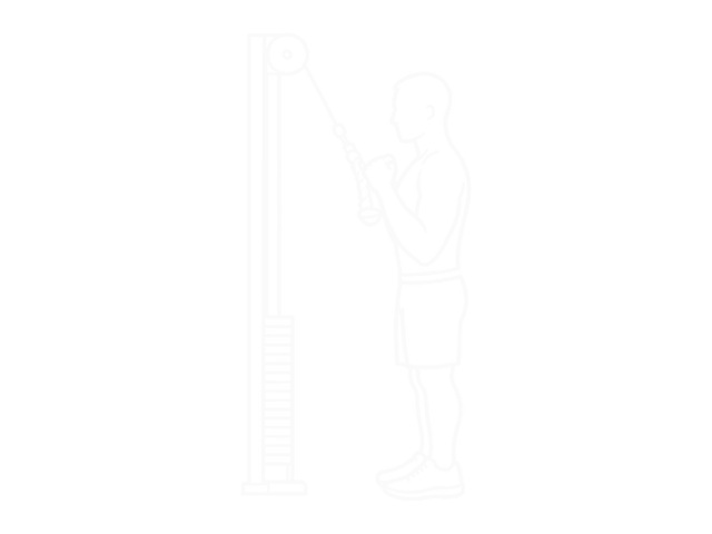 Cable Squatting Curl — End