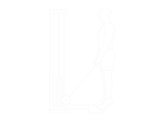 Standing Cable Calf Raise — End