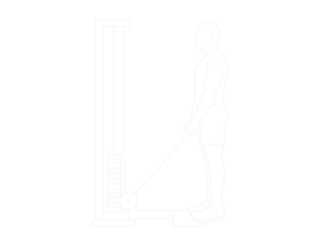 Standing Cable Calf Raise — Start