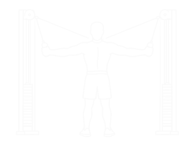 Standing Cable Cross-Over High Reverse Fly — End