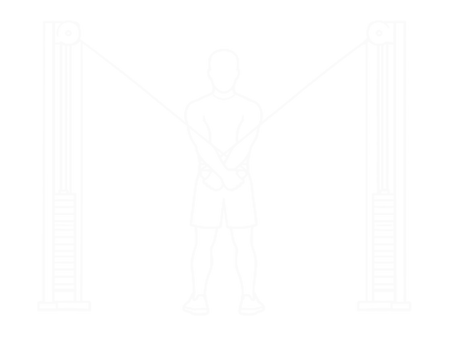 Standing Cable Cross-Over High Reverse Fly — Start