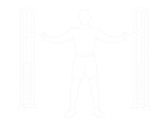 Standing Cable Fly — Start