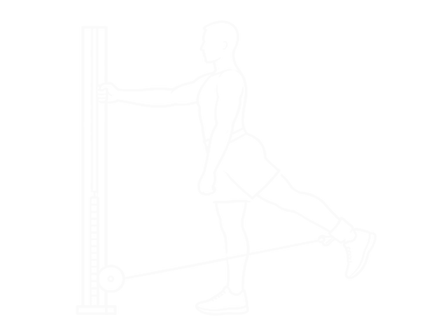 Standing Cable Hip Extension — End