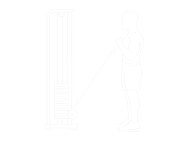Standing Cable Inner Curl — 끝