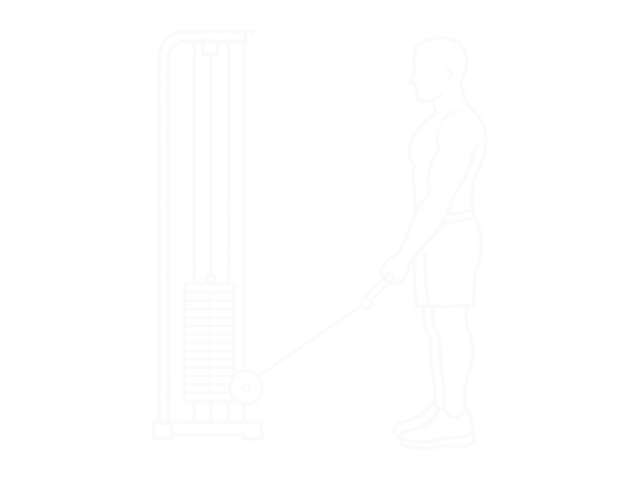 Standing Cable Inner Curl — 시작