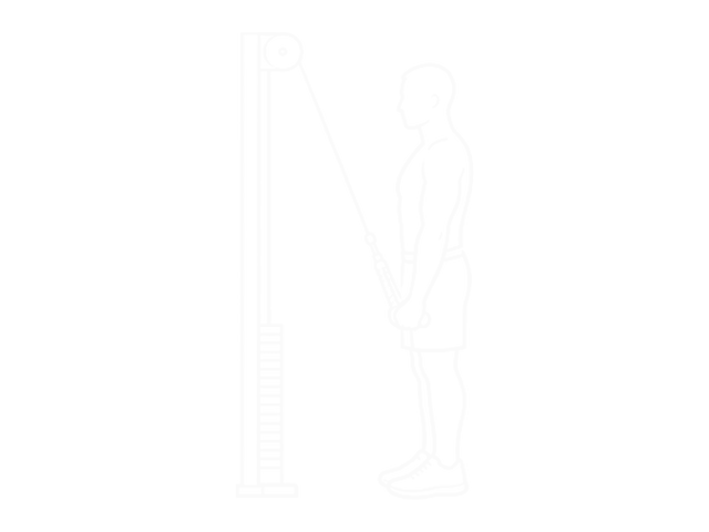 Standing One-Arm Cable Triceps Extension — End