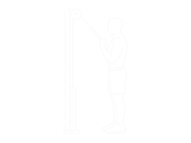 Standing One-Arm Cable Triceps Extension — Start