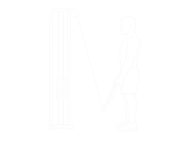 Standing Cable Pulldown (With Rope) — 끝