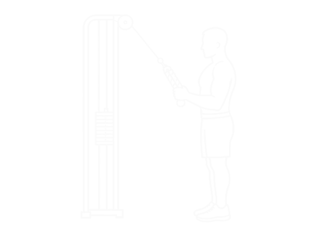 Standing Cable Pulldown (With Rope) — 시작