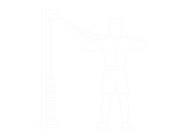 Standing Cable Rear Delt Row (With Rope) — 끝