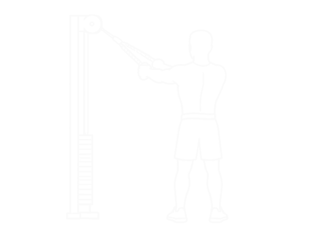 Standing Cable Rear Delt Row (With Rope) — 시작