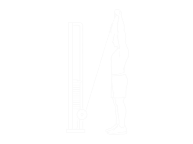 Standing Cable Reverse-Grip One-Arm Overhead Triceps Extension — End