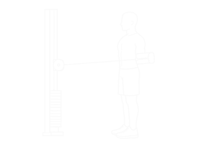 Standing Cable Shoulder External Rotation — 끝