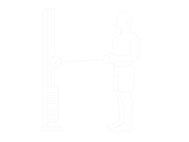 Standing Cable Shoulder External Rotation — 시작