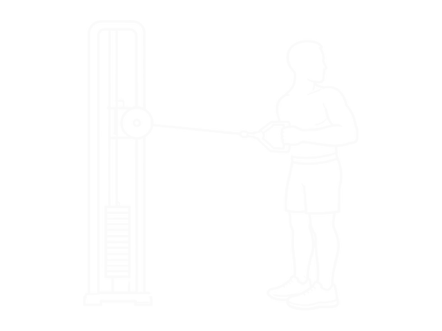 Standing Cable Twist Row (V-Bar) — End