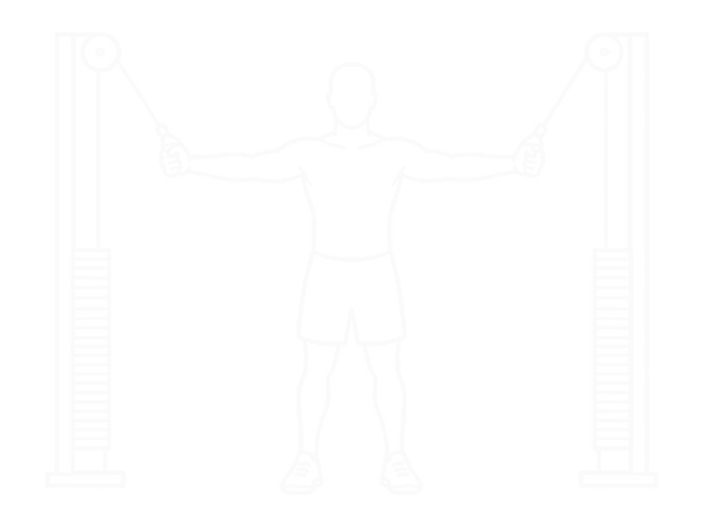 Standing Cable Up Straight Crossovers — Start