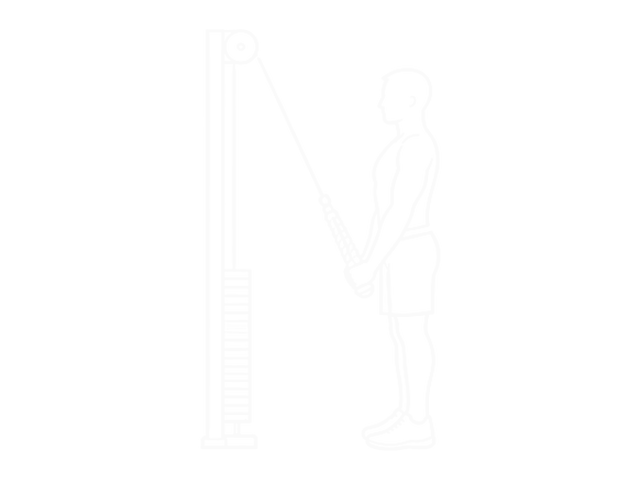 Cable Straight Arm Pulldown (With Rope) — 끝