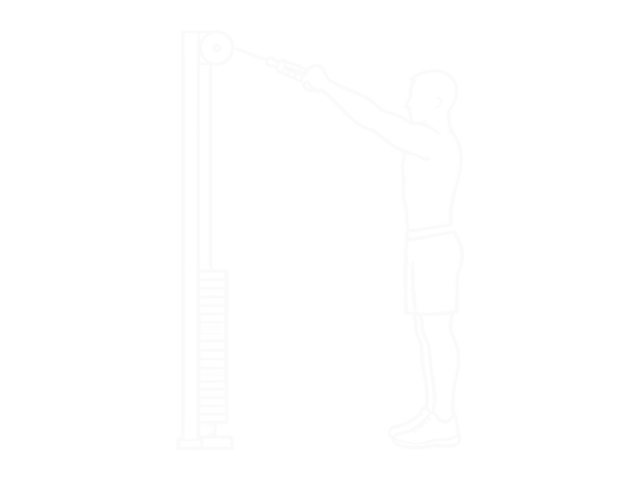 Cable Straight Arm Pulldown (With Rope) — 시작