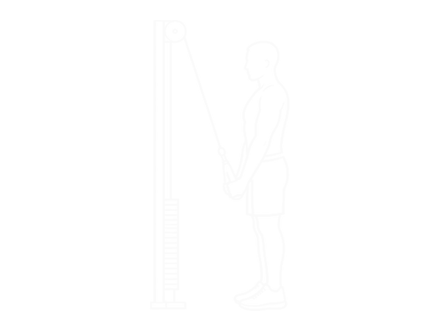Cable Triceps Pushdown (V-Bar) — End