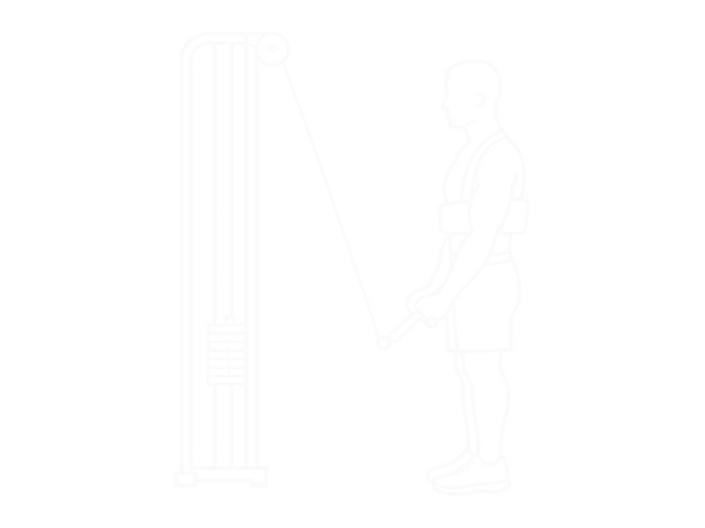 Cable Triceps Pushdown (V-Bar) (With Arm Blaster) — End