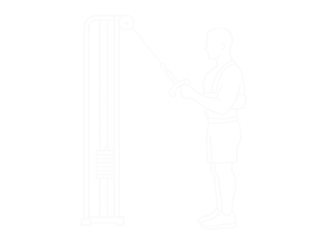 Cable Triceps Pushdown (V-Bar) (With Arm Blaster) — Start