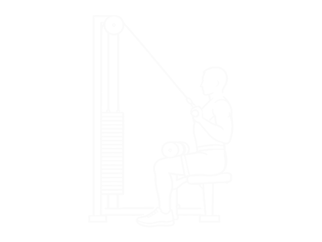 Cable Underhand Pulldown — End