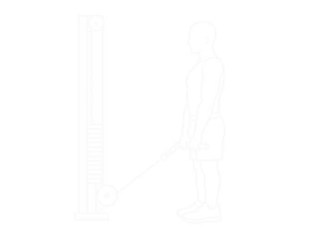 Cable Upright Row — Start