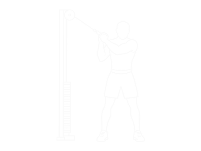 Cable Woodchop — Start