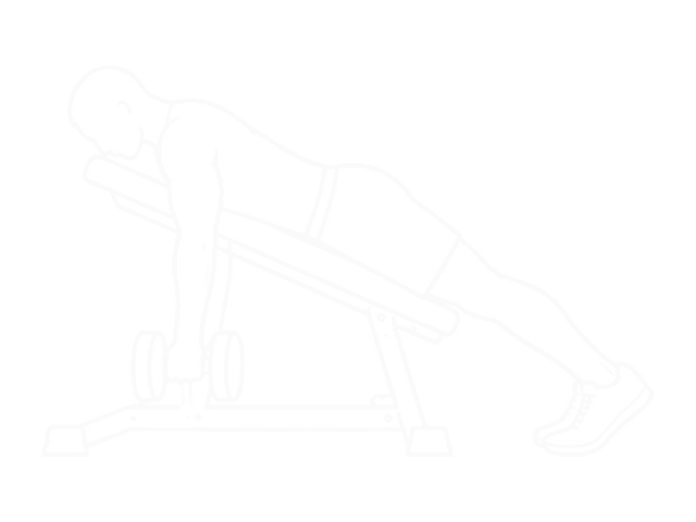 Chest-Supported Dumbbell Row — Start