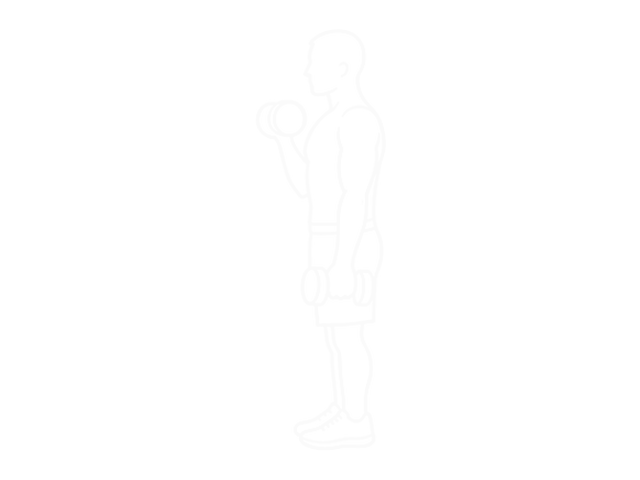 Dumbbell Alternate Biceps Curl — End