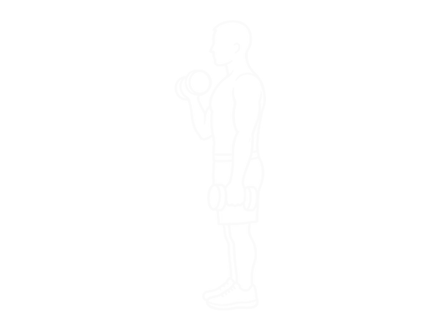 Dumbbell Alternate Biceps Curl — Start