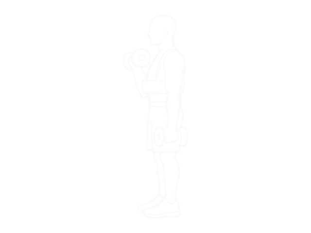 Dumbbell Alternate Biceps Curl (With Arm Blaster) — End