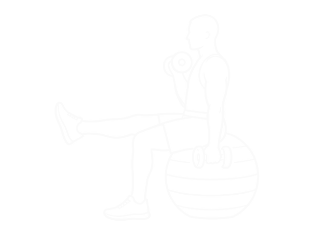 Alternating Dumbbell Biceps Curl with Leg Raised on Exercise Ball — End