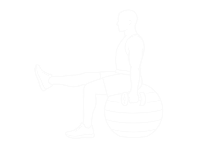 Alternating Dumbbell Biceps Curl with Leg Raised on Exercise Ball — Start