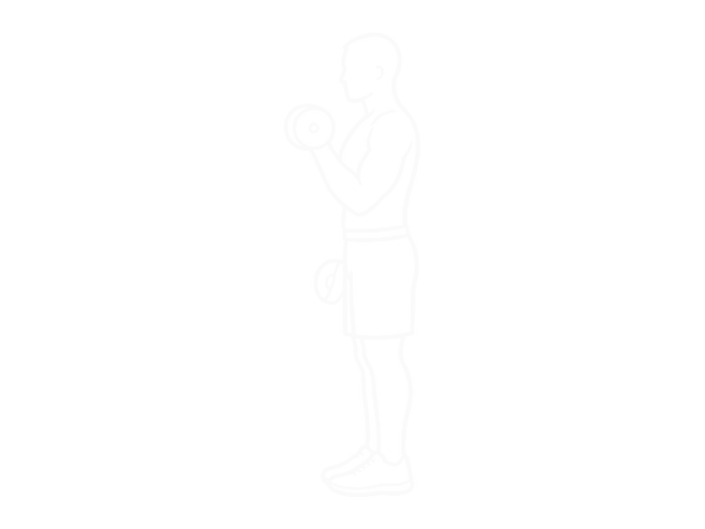 Alternating Dumbbell Hammer Curl — End