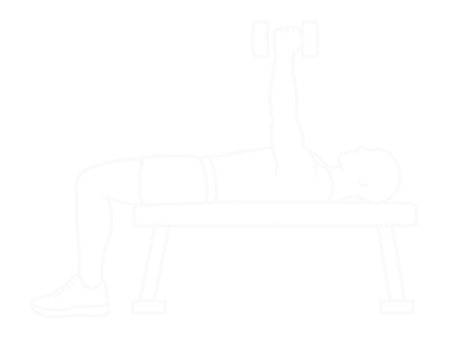 Dumbbell Bench Seated Press — End