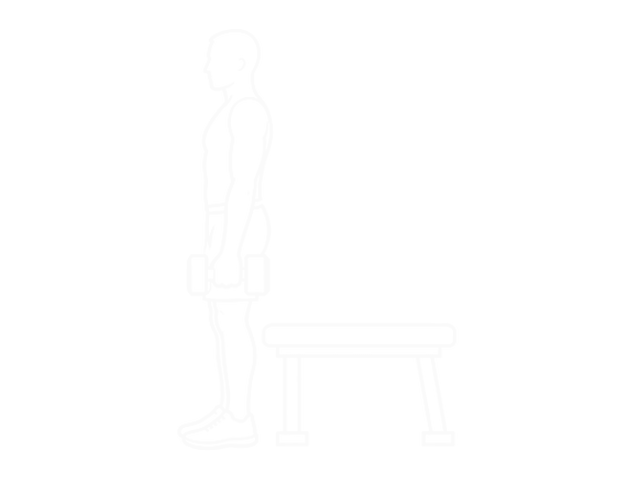 Dumbbell Bench Squat — Start