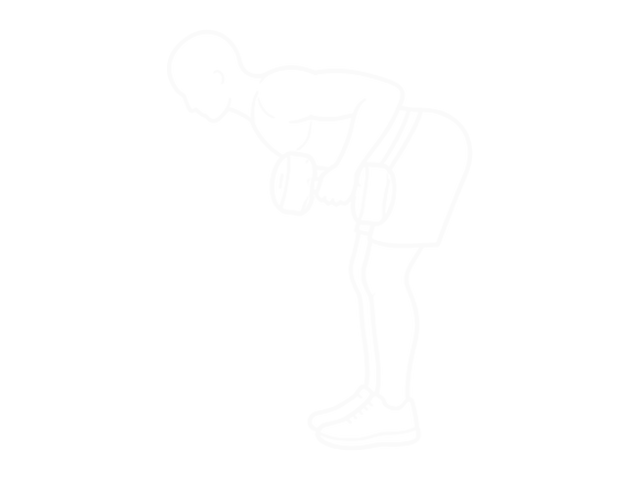 Dumbbell Bent Over Row — 끝