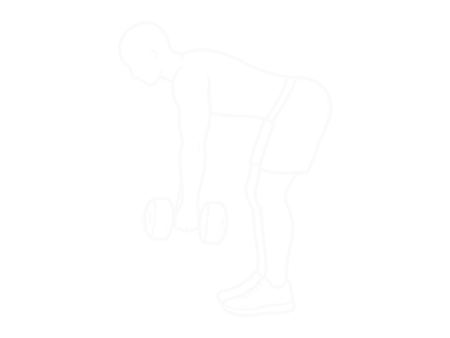 Dumbbell Bent Over Row — 시작