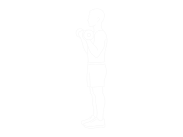 Dumbbell Biceps Curl Reverse — End