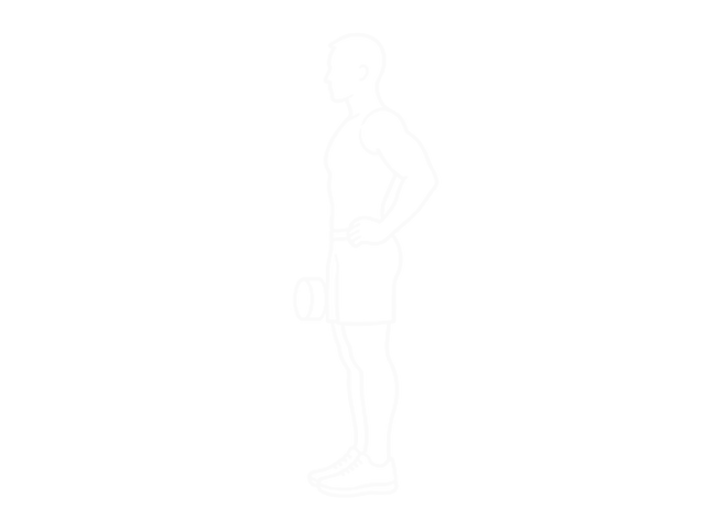 Dumbbell Contralateral Forward Lunge — 시작