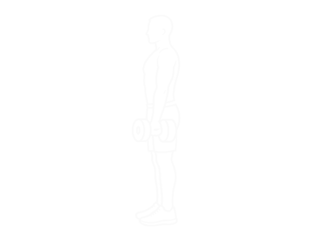 Dumbbell Deadlift — End