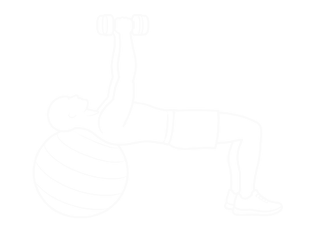 Dumbbell Fly on Exercise Ball — Start