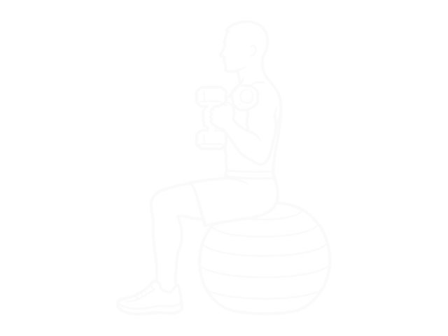 Dumbbell Hammer Curl on Exercise Ball — 끝