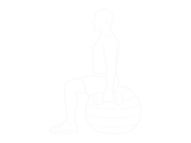 Dumbbell Hammer Curl on Exercise Ball — 시작