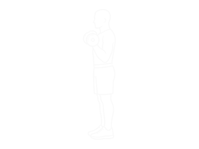Dumbbell Hammer Curl — 끝