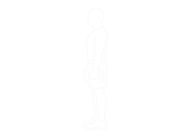 Dumbbell Hammer Curl — 시작