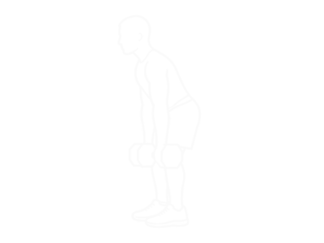 Dumbbell Hang Power Clean — Start
