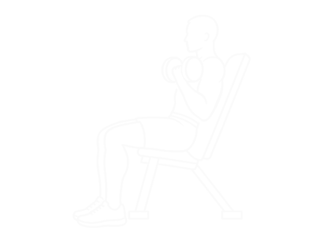 Incline Dumbbell Curl — 끝