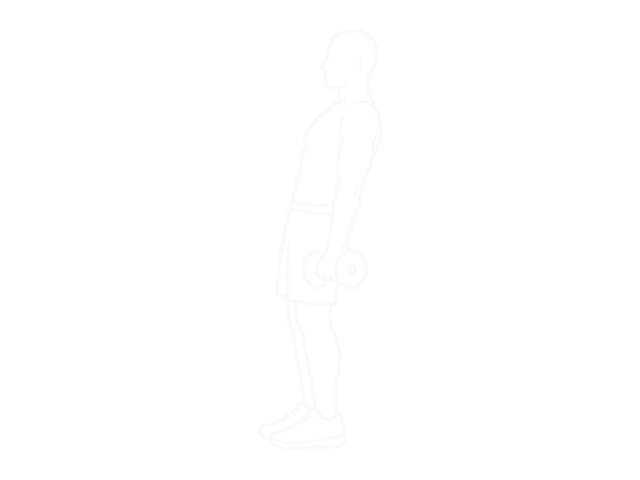 Incline Dumbbell Inner Biceps Curl — Start